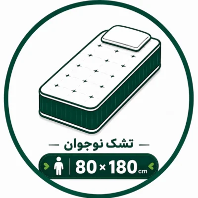 ایکون تشک 080