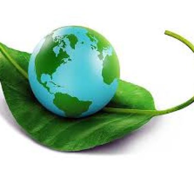 رعایت محیط زیست تشک نفیس